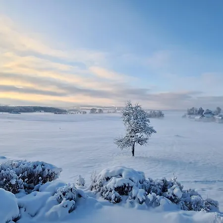 Alpenblick Διαμέρισμα *